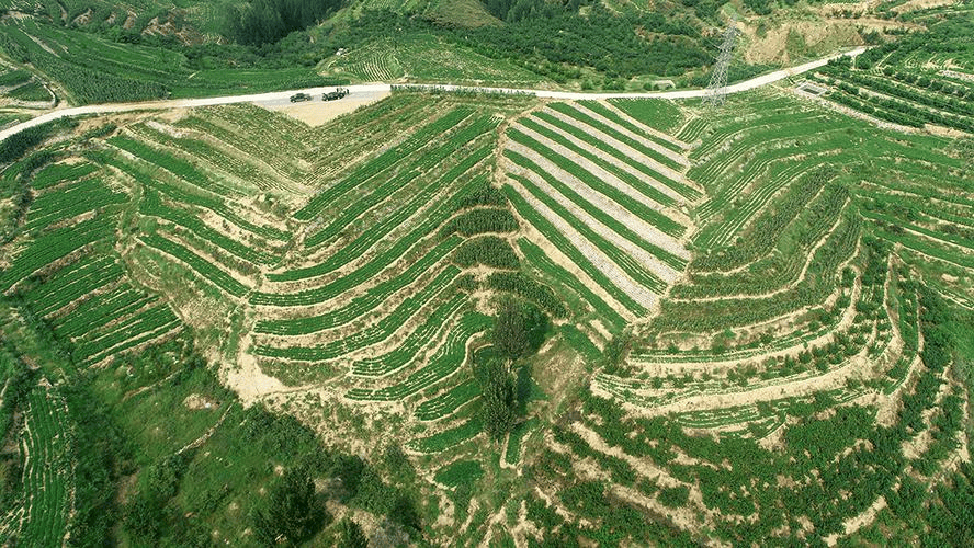 绿色矿山矿山复垦：实现生态修复与经济共赢的完整指南