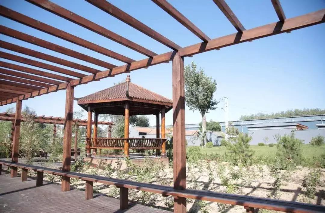 绿色矿山矿山绿化:从工业废墟到生态乐园的蜕变之路