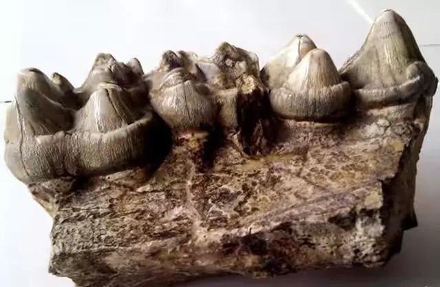 矿山安全法规:守护矿工生命,避免事故痛苦,让矿山作业更安全便捷